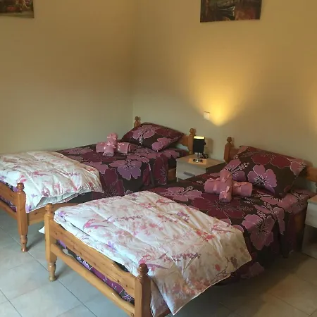 Apartment The Lion's House Liapades